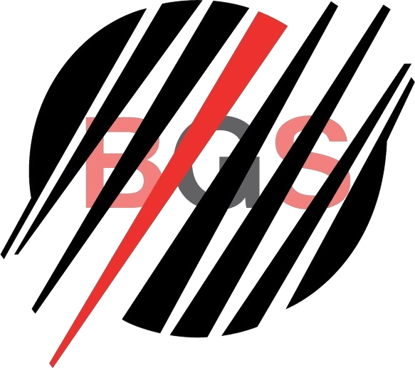 BGS Group header logo